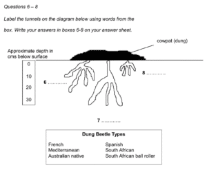 IELTS Reading Diagram Label Completion example